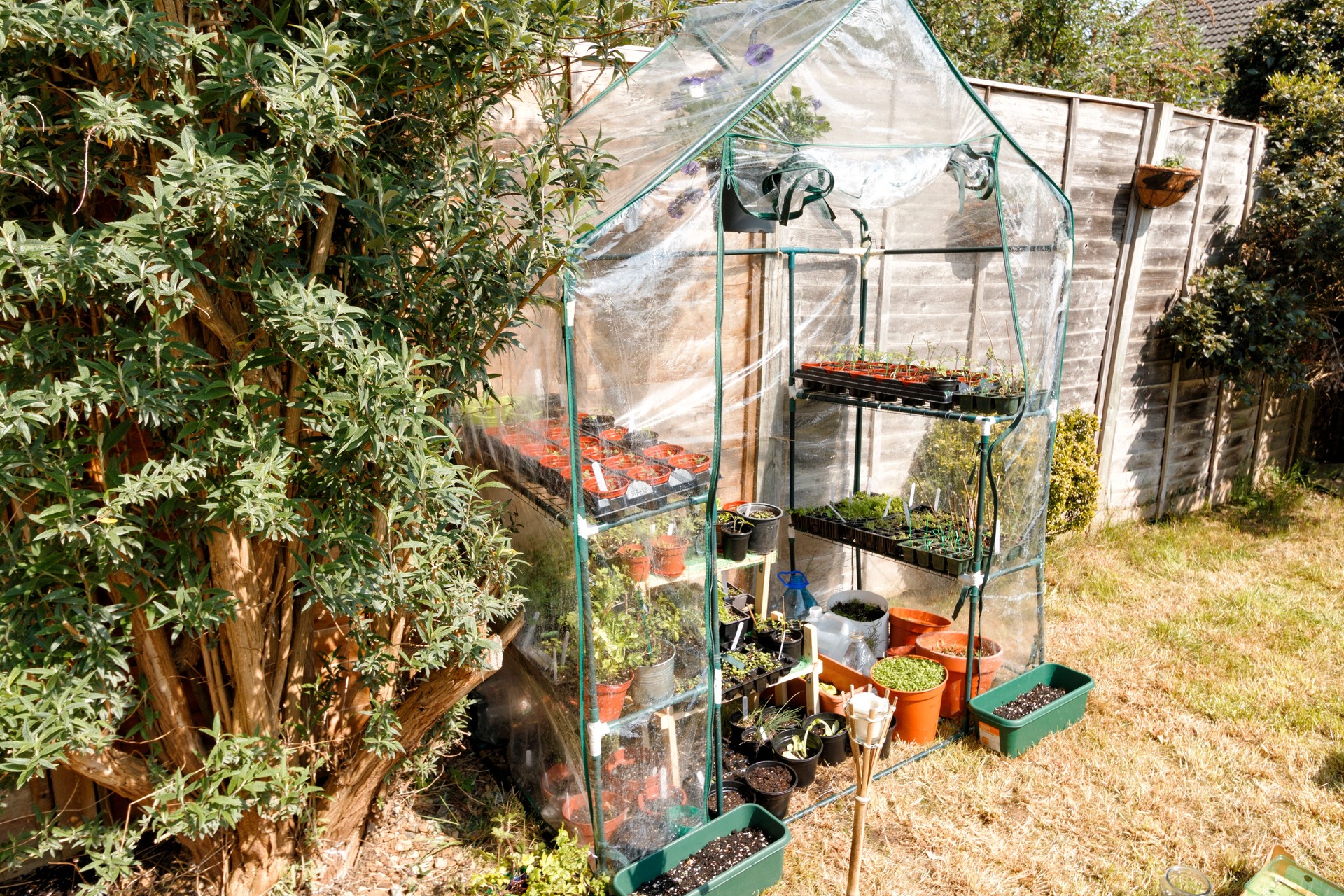 Garden greenhouse